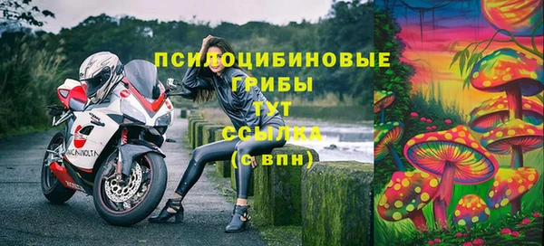 apvp Касимов