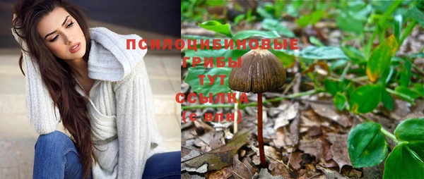 винт Карталы