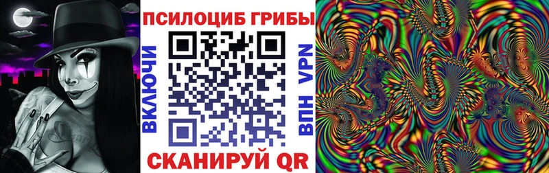 Псилоцибиновые грибы прущие грибы  Купить  Зеленокумск 